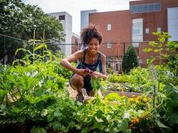 A smiling gardener kneels while pulling radishes from a garden.