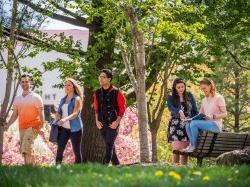 Three smiling college students walking and two others sharing a book on a bench during summer.